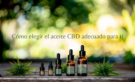 ¿cómo Elegir El Aceite Cbd Más Adecuado Para Ti