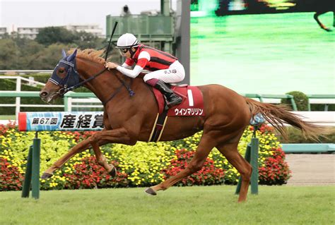 競馬コラム「勝敗その一瞬〜重賞振り返り〜」｜極ウマ・プレミアム