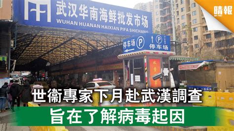 新冠肺炎│世衞專家下月赴武漢調查 旨在了解病毒起因 晴報 時事 要聞 D201216