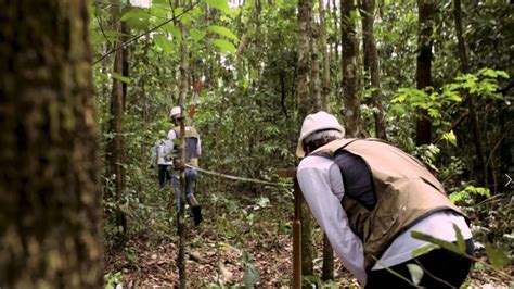 Invent Rio Florestal Bueno Mota Engenharia Ambiental