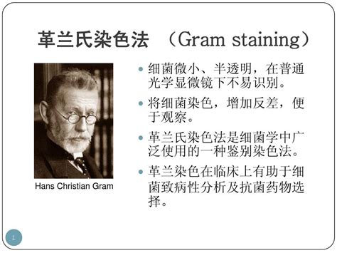 医学微生物实验 革兰氏染色法 word文档在线阅读与下载 无忧文档