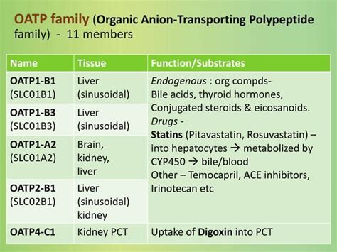 Drug Transporters Ppt