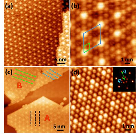 Figure From Self Assembly Of C Monolayer On Epitaxially Grown