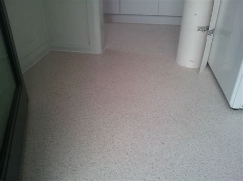 What Flooring Is Best For Wet Areas at Thomas Simpson blog
