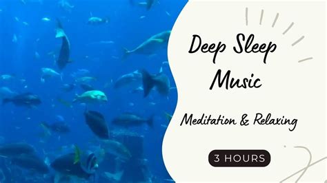 Deep Sleep Meditation Music 3 Hours Relaxing Music Youtube