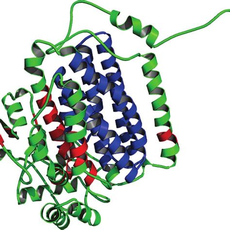 Steps Involved In The Identification Of Structural Motifs In Protein