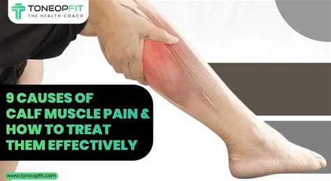 9 Causes Of Calf Muscle Pain And How To Treat Them Toneop Fit