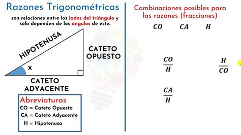 Como Calcular El Cateto Adyacente Halos