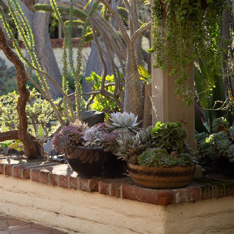 Sherman Gardens Succulent Tapestry and Courtyard | Succulents and Sunshine