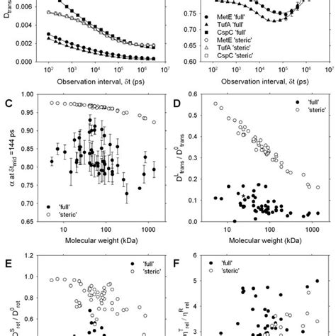 Translational And Rotational Diffusion In The Cytoplasm Model A