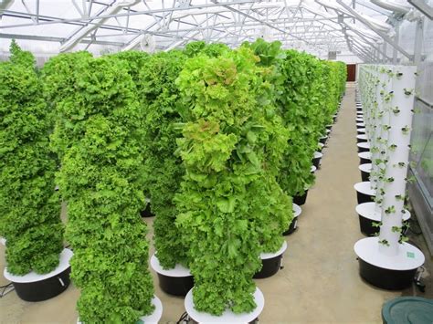 Vertical Farming | Aeroponics | Tower Garden | Tower Farms | Agrotonomy