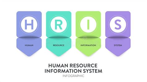 Hris Or Human Resource Information System Framework Strategy