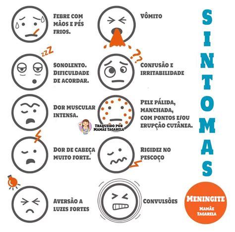 Meningite Como Evitar Sinais Vacinas E Todos Os Detalhes Artofit