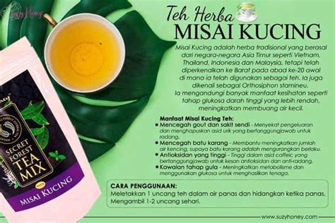 Pre Order 3060 Sachet Teh Uncang Misai Kucing Teh Herba Misai
