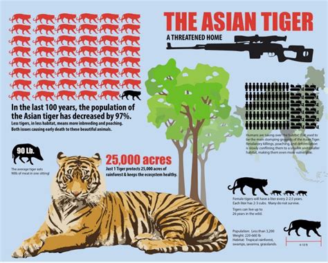 Infographic Endangered Species