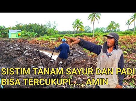 TAMPA SEDIKIT PUN RUANG UNTUK TIDAK DI TANAMI PADI BAGUS PAK SLAMET