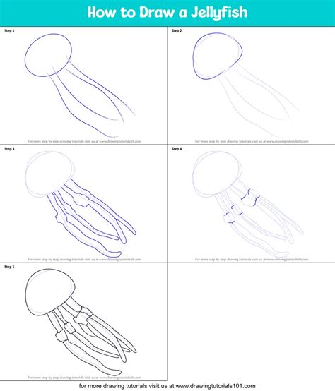 Step By Step How To Draw A Jellyfish