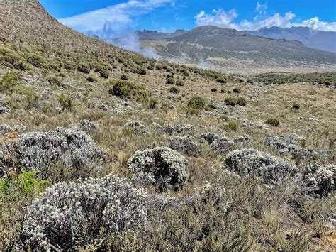 Day Hike Kilimanjaro Shira Plateau