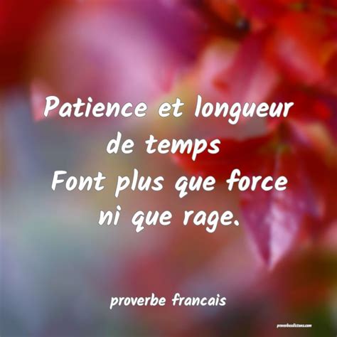 Patience Et Longueur De Temps Font Plus Que Forc