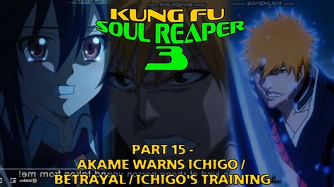 Kung Fu Soul Reaper 3 Part 15 Akame Warns Ichigo Betrayal