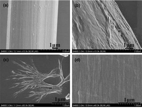 Novel Silk Fibroin Films Prepared By Formic Acidhydroxyapatite