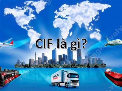 cif la gi trach nhiem cua hai ben doi tac khi su dung cif