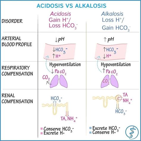 Acidosis Vs Alkalosis Draw It To Know It Sciences On Instagram