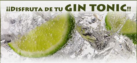 C Mo Hacer Un Gin Tonic Sin Alcohol Cocina