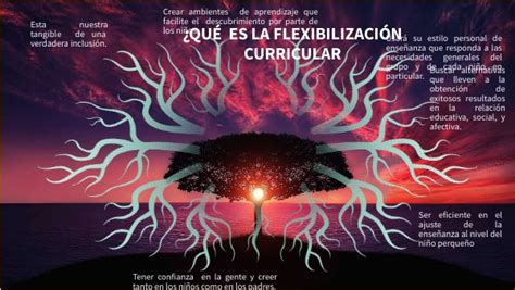 Qu Es La Flexibilizaci N Curricular