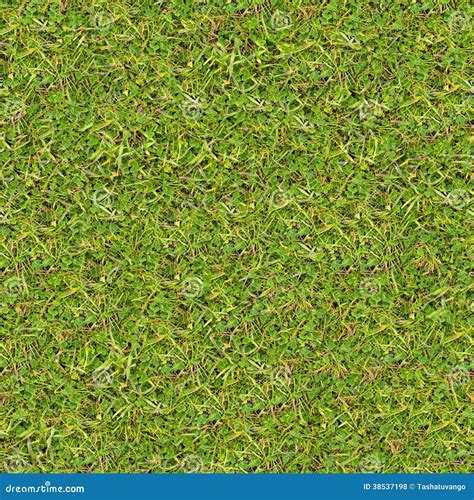 Meadow Grass. Seamless Texture. Stock Photo - Image of grow, land: 38537198