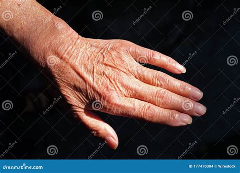 Pair Of Wrinkled Hands Of An Elderly Chinese Woman Stock Photo Image