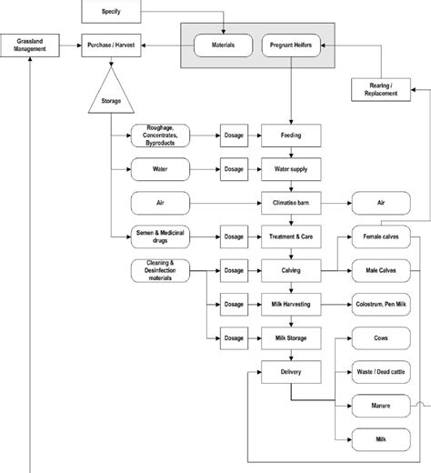 Example of an overall dairy farm production process diagram (flow chart ...