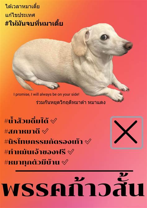 тσραzнүяαηgεα on Twitter RT khunpreuch พรรคกาวสนขอเปนรฐบาล