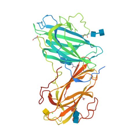 Rcsb Pdb Li Crystal Structure Of Lectin From Pleurotus Ostreatus