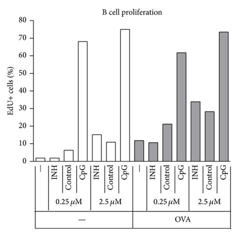 Effects Of Non Cpg Odn On Late Activation Events Spleen Cells Were