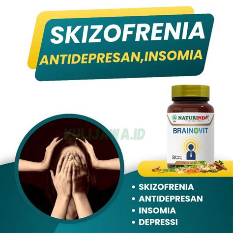 Jual Obat Skizofrenia Antidepresan Depressi Penenang Stress Dan Depresi