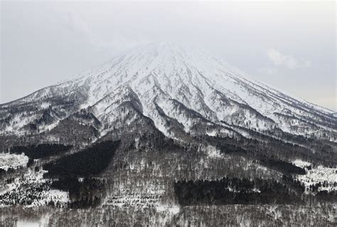 2 Pemain Ski New Zealand Terbunuh Dalam Runtuhan Salji Di Jepun Media