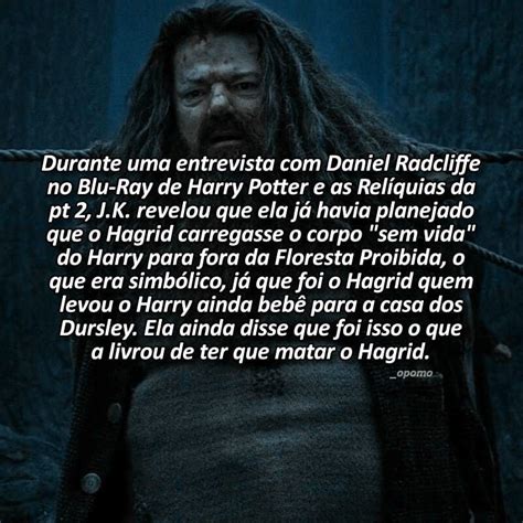 A Imagem Pode Conter Pessoa Texto Blaise Harry Potter Harry Potter