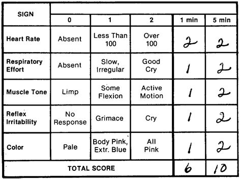 Printable Apgar Score Chart