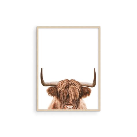 Buy HAUS AND HUES Highland Cow Wall Art Highland Cow Print And Bull