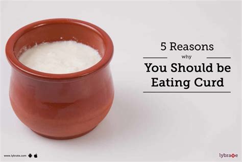 5 Reasons You Should Be Eating Curd Daily By Dr Vinima Mahajan Lybrate