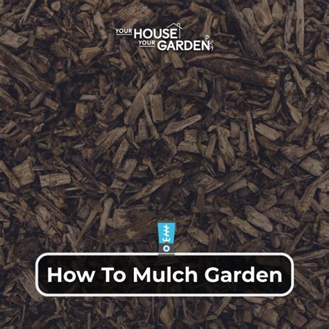 How To Mulch Garden - Your House Your Garden