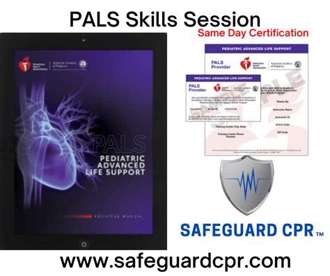 Pals Skills Session Safeguard Cpr