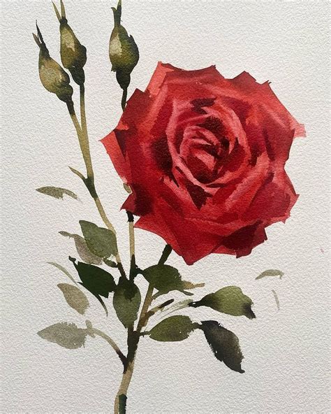 T M G Nderiler Instagram In Flower Painting Rose Art Drawing