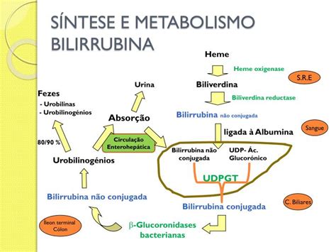 Ppt Diagn Stico Diferencial Icter Cias Powerpoint Presentation Id