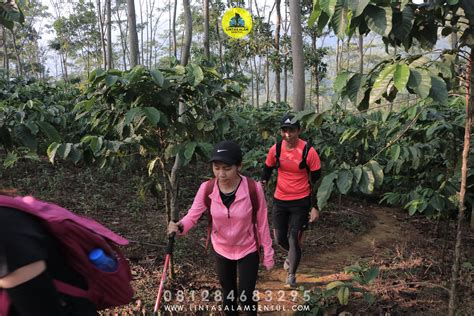 Tempat Paling Oke Tracking Di Sentul Untuk Perusahaan