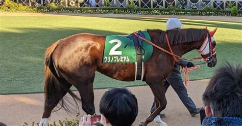 【穴党必見】素人競馬のつぶやき～金鯱賞（g2）最終結論～｜つとむ｜note