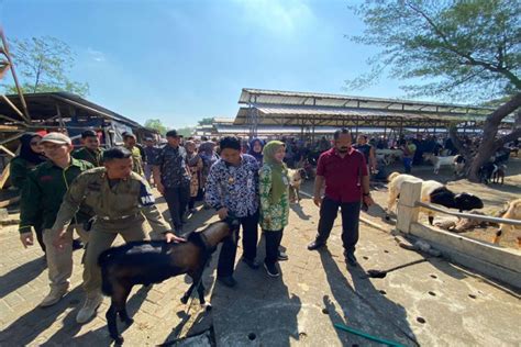 Dpkh Gunungkidul Data Tph Kurban Untuk Permudah Pengawasan Antara News