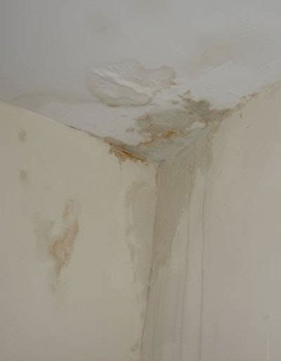 Ceiling Repair: Ceiling Repair From Water Damage