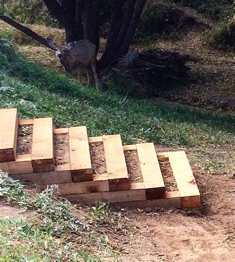 Landscape Timber Backyard Steps - Our Homestead Life